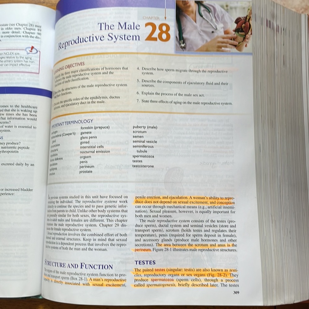 Basic Nursing - Picture 3 of 6